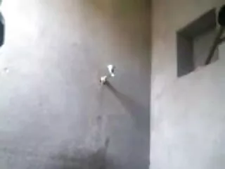 अंतरजातीय हिंदी सेक्सी एचडी मूवी वीडियो मुख-मैथुन