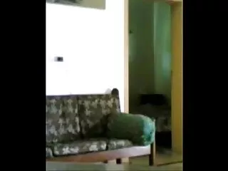 वेब कैमरा इतिहास सेक्सी मूवी एचडी मूवी 494