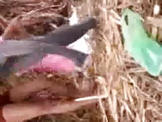 शरारती सींग का बना किशोर सेक्सी मूवी एचडी और उसका खिलौना