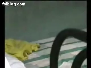 शौकिया किशोर देहाती सेक्सी मूवी एचडी पहने अधोवस्त्र सेक्स टेप पर प्रेमी का इलाज करता है