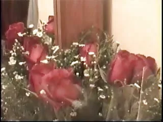 ब्राजील का हिंदी सेक्सी मूवी एचडी वीडियो सांचा
