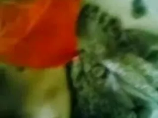 UPSKIRT हिंदी मूवी एचडी सेक्सी KING 57