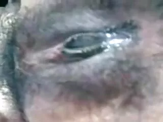 लता हिंदी सेक्सी एचडी मूवी