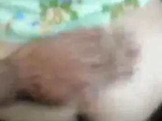 हैप्पी हिंदी एचडी सेक्सी मूवी त्रिगुट